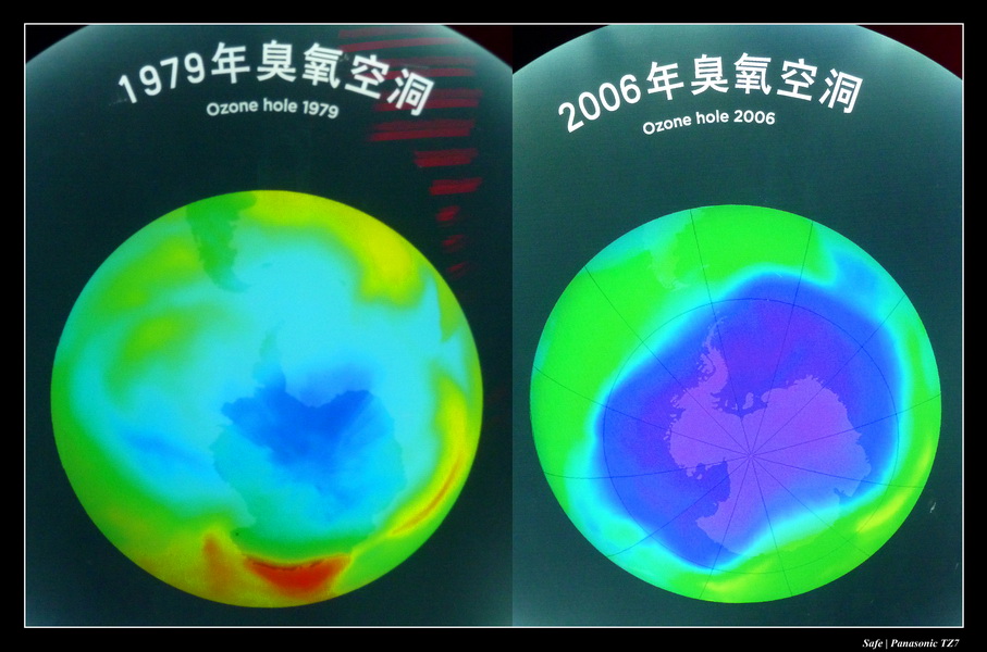 2010   08   Expo Shangai 104